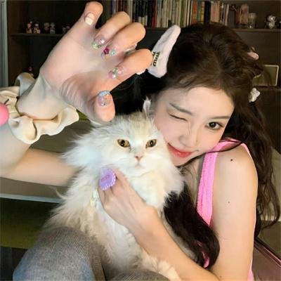 为什么猫都叫不来