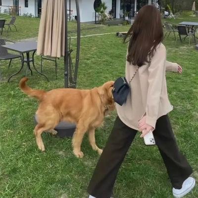 极恶无间